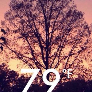 Meet your Posher, Lucy